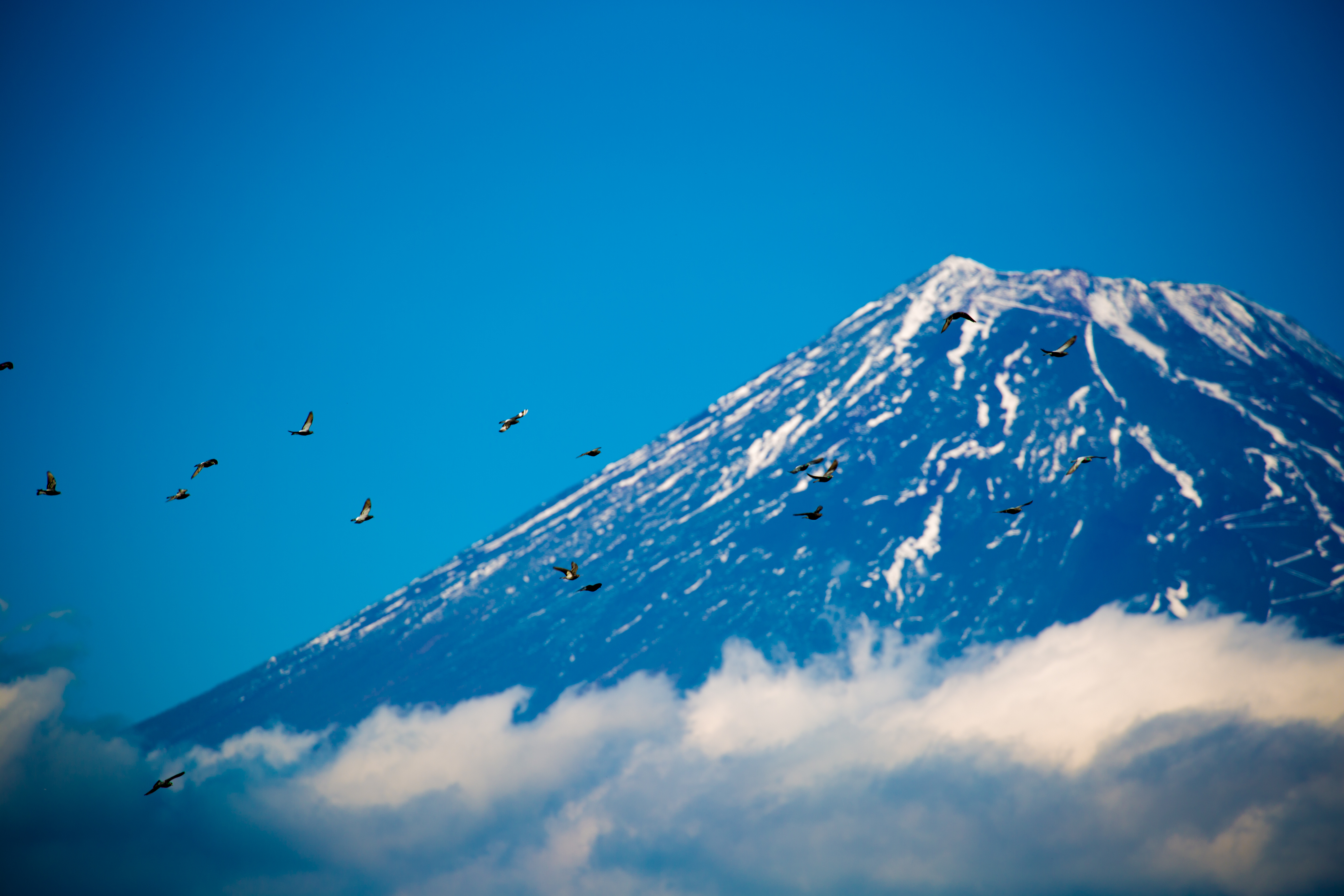 連載 富士山をきれいに見るならここ おすすめ絶景スポット4選 暮らし の