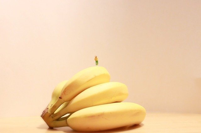 質 バナナ 糖