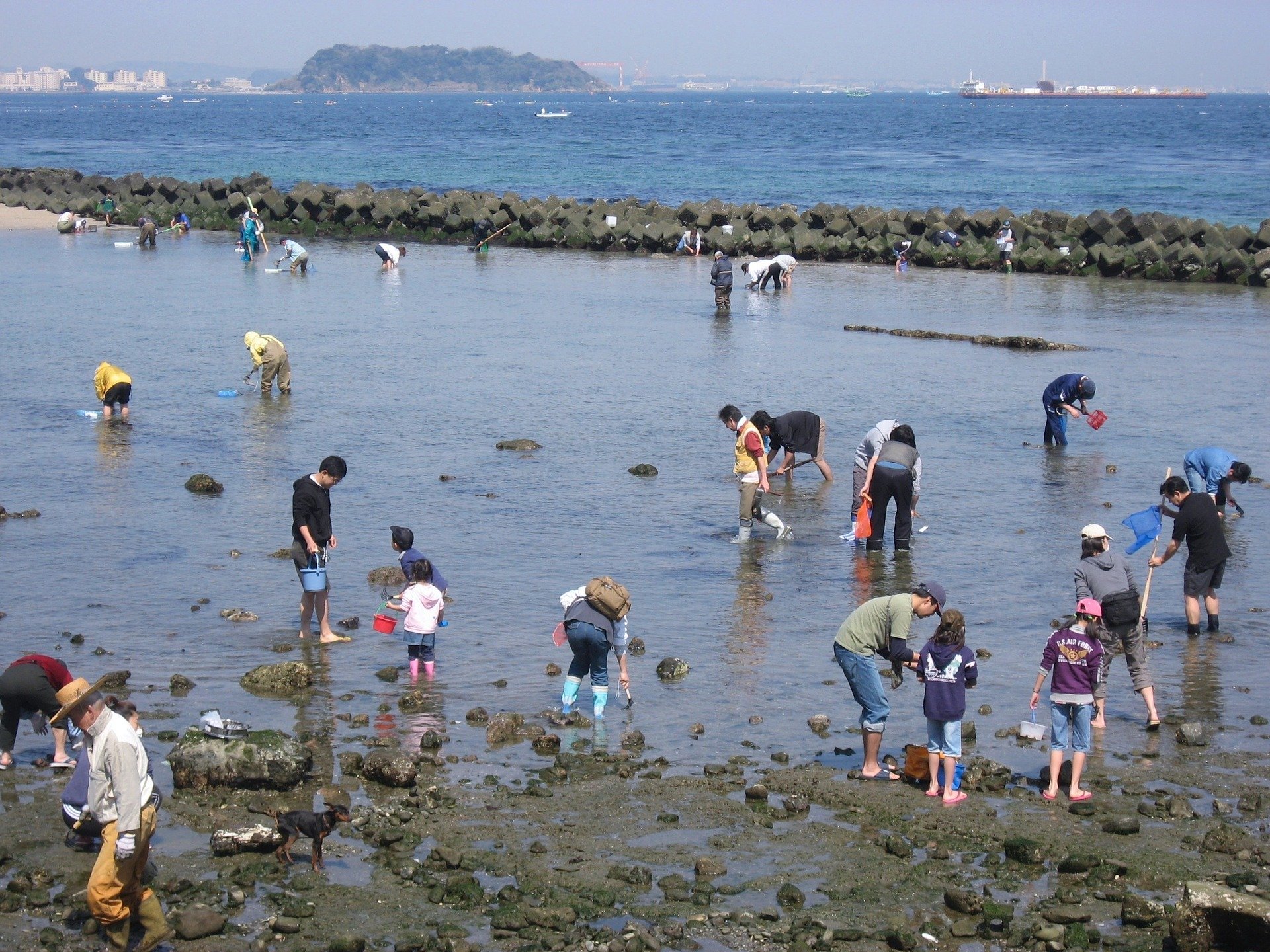 福岡のおすすめ潮干狩りスポット10選 有料 無料別に人気スポットをご紹介 暮らし の